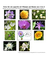 Leporello-Pflanzen-A-Z-Fotos-2.pdf